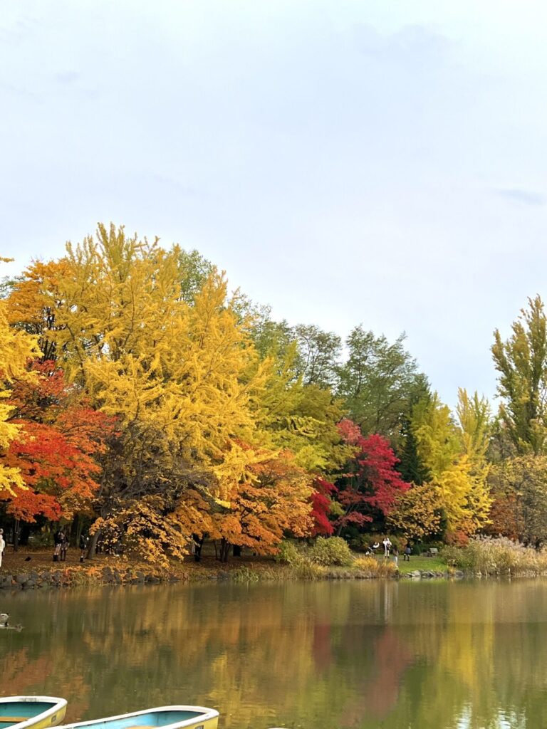 今年も後２ヶ月🍁